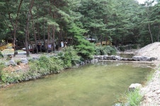 금물산하늘소캠프 레저스포츠 정보와 주변 관광 명소 및 근처 맛집 여행 정보