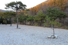 별따기캠핑장 레저스포츠 정보와 주변 관광 명소 및 근처 맛집 여행 정보