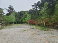 명봉산 솔밭관광농원 오토캠핑장 레저스포츠 정보와 주변 관광 명소 및 근처 맛집 여행 정보