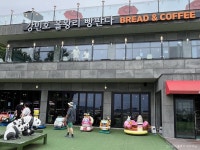 왕산요트경기장 - 주변 여행 및 근처 관광 명소 - 국내 여행 정보와 관광 명소 정보