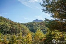 대야산 관광 정보와 주변 관광 명소 및 근처 맛집 여행 정보