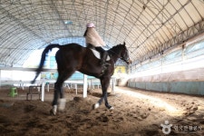 동서울승마클럽 레저스포츠 정보와 주변 관광 명소 및 근처 맛집 여행 정보