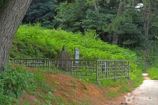 후지리탑동석불 관광 정보와 주변 관광 명소 및 근처 맛집 여행 정보