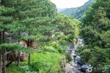 수도산자연휴양림 관광 정보와 주변 관광 명소 및 근처 맛집 여행 정보