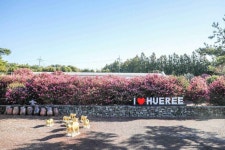 Hueree Natural Park (휴애리자연생활공원) - Sightseeing - Korea travel and tourism information