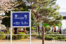 경화역 벚꽃길 관광 정보와 주변 관광 명소 및 근처 맛집 여행 정보