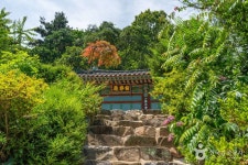 청룡사(상주) 관광 정보와 주변 관광 명소 및 근처 맛집 여행 정보