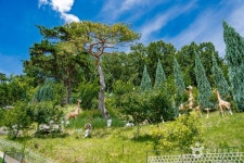 숲뜰근린공원 - 주변 여행 및 근처 관광 명소 - 국내 여행 정보와 관광 명소 정보