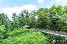 도덕산 출렁다리 관광 정보와 주변 관광 명소 및 근처 맛집 여행 정보