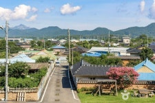 네이버 검색 결과 사진 3