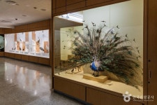 경희대학교 자연사박물관 문화 정보와 주변 관광 명소 및 근처 맛집 여행 정보