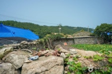 비금도 내촌마을 옛 담장 관광 정보와 주변 관광 명소 및 근처 맛집 여행 정보