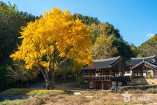 예안향교 관광 정보와 주변 관광 명소 및 근처 맛집 여행 정보