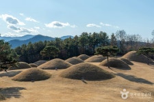 합천 옥전 고분군 - 주변 여행 및 근처 관광 명소 - 국내 여행 정보와 관광 명소 정보