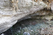 숲나들e - 여행정보 |