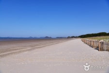 [기지포해수욕장] 기지포해변은 태안반도에 있는 크고 작은 다른 해수욕장과 같이 여름 한낮의 폭염을 피할 수 있는 울창한 송림과...