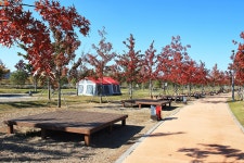 버들미식당 - 주변 여행 및 근처 관광 명소 - 국내 여행 정보와 관광 명소 정보