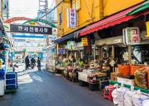 양재동 화훼공판장 (꽃문화체험관) - 주변 여행 및 근처 관광 명소 - 국내 여행 정보와 관광 명소 정보