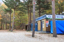 강릉 노추산힐링캠프 레저스포츠 정보와 주변 관광 명소 및 근처 맛집 여행 정보