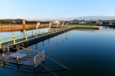 제주피싱테마파크 레저스포츠 정보와 주변 관광 명소 및 근처 맛집 여행 정보