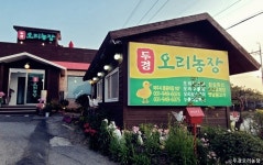 두경오리농장 음식점 정보와 주변 관광 명소 및 근처 맛집 여행 정보