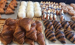봉주르마담 음식점 정보와 주변 관광 명소 및 근처 맛집 여행 정보