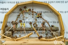 맹산환경생태학습원 관광 정보와 주변 관광 명소 및 근처 맛집 여행 정보
