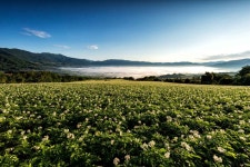 을지전망대 - 주변 여행 및 근처 관광 명소 - 국내 여행 정보와 관광 명소 정보