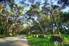 거창 솔향기돌담마을 관광 정보와 주변 관광 명소 및 근처 맛집 여행 정보