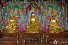 신흥사(완도) 관광 정보와 주변 관광 명소 및 근처 맛집 여행 정보