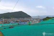 Naver search result photo 3