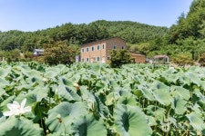 봉화산사 관광 정보와 주변 관광 명소 및 근처 맛집 여행 정보