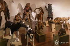 경희대학교 자연사박물관 문화 정보와 주변 관광 명소 및 근처 맛집 여행 정보