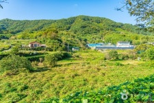 궁항마을 관광 정보와 주변 관광 명소 및 근처 맛집 여행 정보