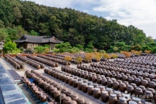 세종전통장류박물관 문화 정보와 주변 관광 명소 및 근처 맛집 여행 정보