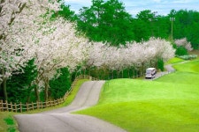 포천힐스컨트리클럽 레저스포츠 정보와 주변 관광 명소 및 근처 맛집 여행 정보