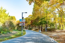 매헌시민의 숲 관광 정보와 주변 관광 명소 및 근처 맛집 여행 정보