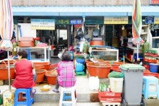 숲나들e - 여행정보 |