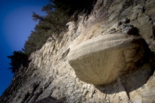 두호동 화석산지 (경북 동해안 국가지질공원) 관광 정보와 주변 관광 명소 및 근처 맛집 여행 정보