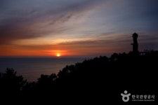 돌산갓 장터마을 - 주변 여행 및 근처 관광 명소 - 국내 여행 정보와 관광 명소 정보