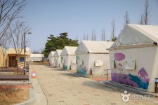 博士村子どもグランピング場（박사마을 어린이 글램핑장） - レジャー - 韓国旅行・観光情報