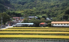 상우마을 레저스포츠 정보와 주변 관광 명소 및 근처 맛집 여행 정보