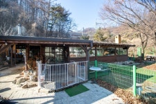 펫타운 음식점 정보와 주변 관광 명소 및 근처 맛집 여행 정보