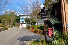 남천리 산촌생태마을 관광 정보와 주변 관광 명소 및 근처 맛집 여행 정보
