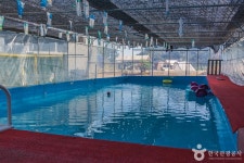 세재골농원 레저스포츠 정보와 주변 관광 명소 및 근처 맛집 여행 정보