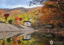 풍수원성당 - 주변 여행 및 근처 관광 명소 - 국내 여행 정보와 관광 명소 정보