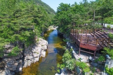 두타산 - 주변 여행 및 근처 관광 명소 - 국내 여행 정보와 관광 명소 정보