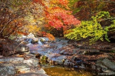 구름아래오토캠핑장 - 주변 여행 및 근처 관광 명소 - 국내 여행 정보와 관광 명소 정보