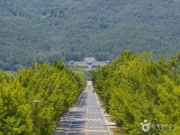 통일전(경주) 관광 정보와 주변 관광 명소 및 근처 맛집 여행 정보
