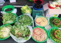 봉동생강골시장 (5, 10일) 쇼핑 정보와 주변 관광 명소 및 근처 맛집 여행 정보